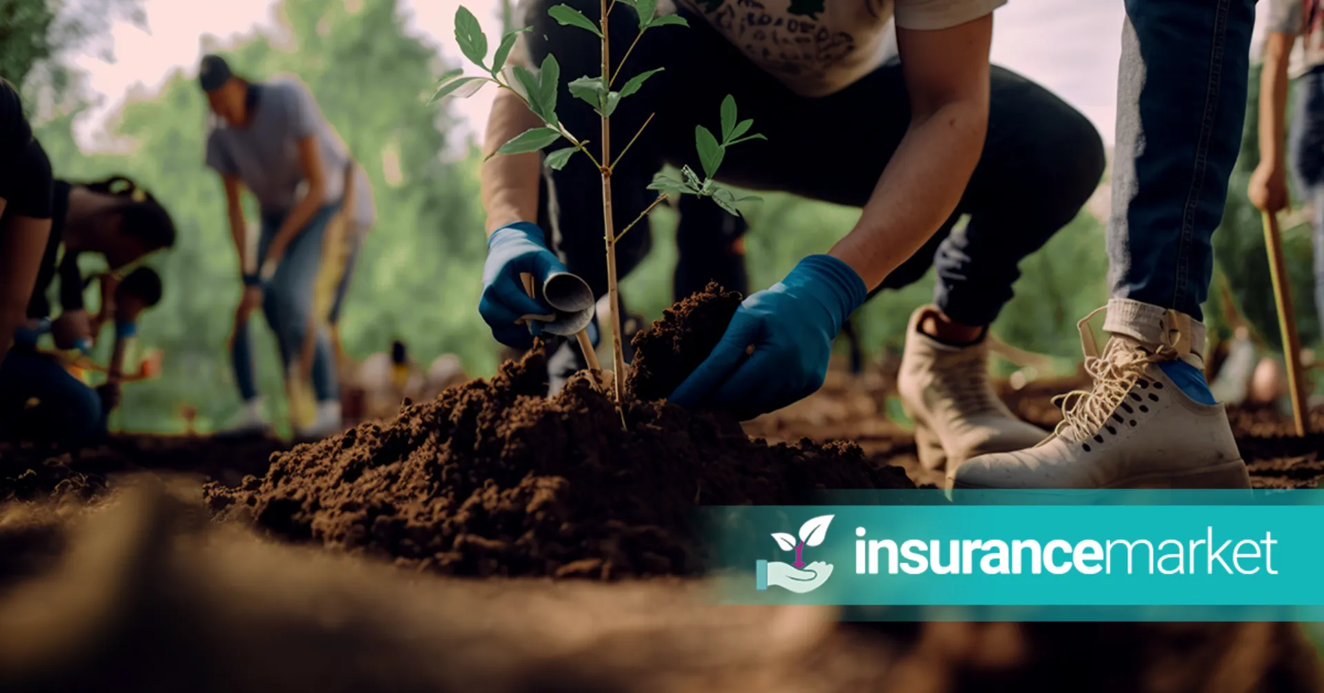 Για κάθε ασφάλεια κατοικίας η Insurancemarket.gr φυτεύει ένα δέντρο 