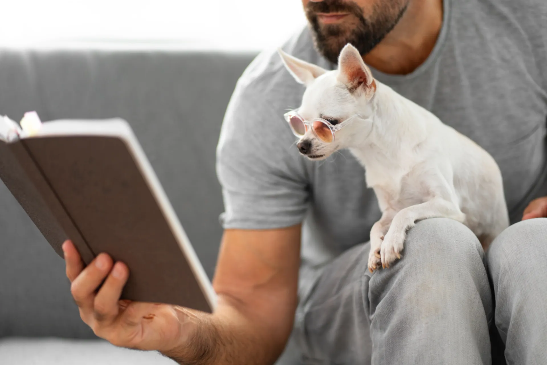 Τεχνητή Νοημοσύνη στην ασφάλιση από την Start Up Hoolie Foundation