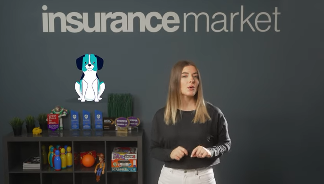 insurancemarket Στο-λύσαμε: Ασφάλεια κατοικιδίου (video)