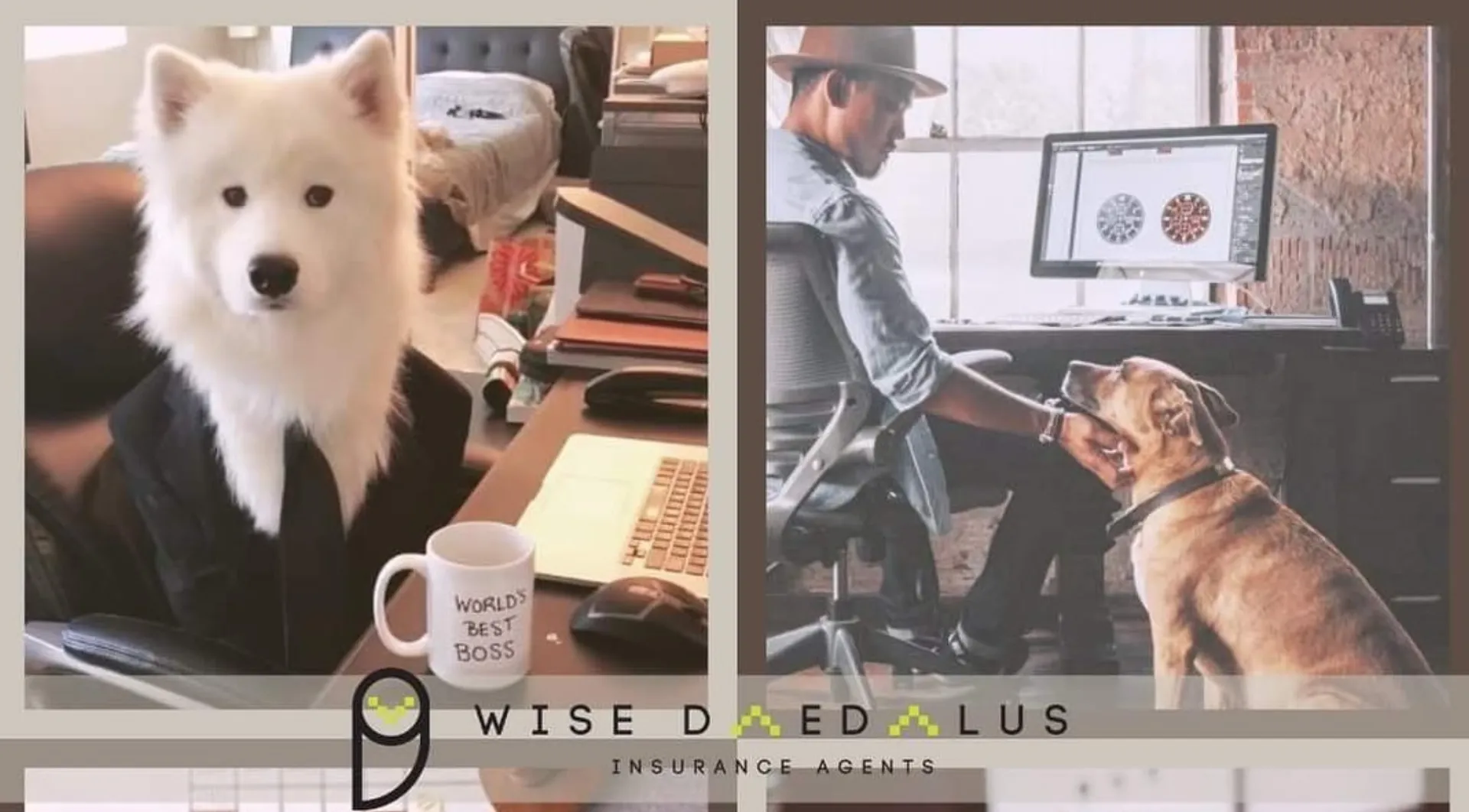 Wise Daedalus: National Take Your Dog to Work Day