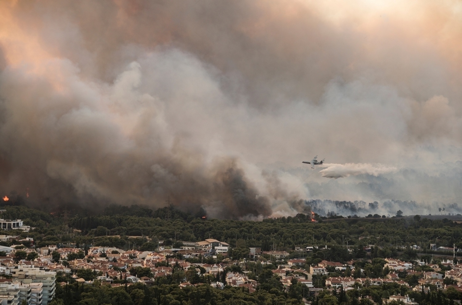 235 ασφαλισμένες ζημιές από τις δασικές πυρκαγιές 17-28 Ιουλίου 2023