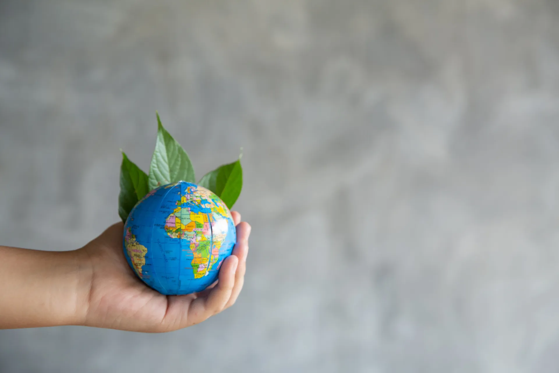 Συνεισφορά της Επιχειρησιακής Έρευνας στη διατήρηση της Βιοποικιλότητας