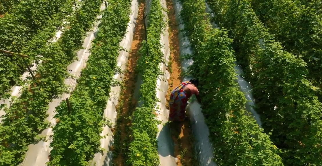 Η εύκολη πρόσβαση στην ασφάλιση αυξάνει την “ανθεκτικότητα” σε ανθρώπους με χαμηλά εισοδήματα (video)