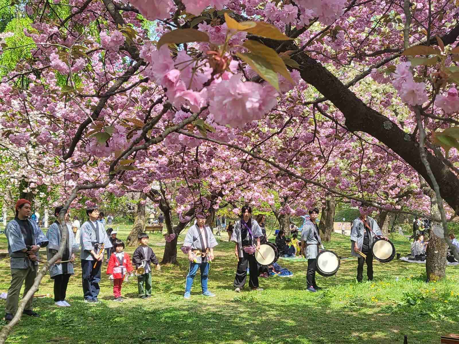 Η παράξενη αντίφαση της Ιαπωνίας στη σχέση με το Φυσικό Περιβάλλον