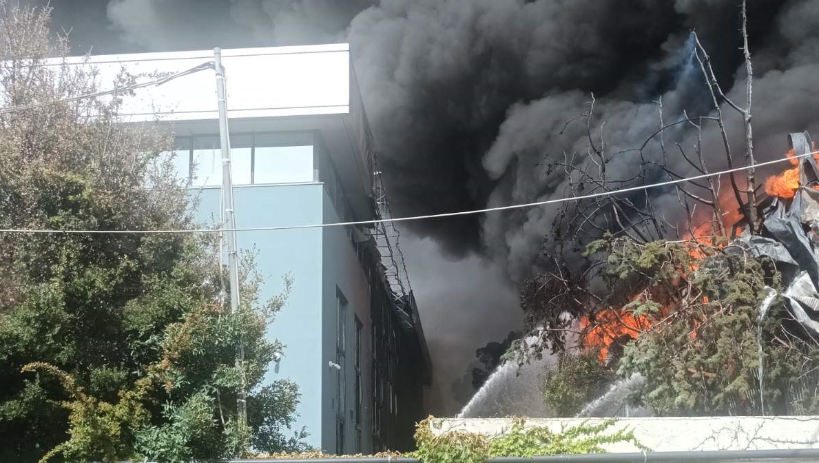 H ανακοίνωση της Παλαμήδης – Pal για τη φωτιά