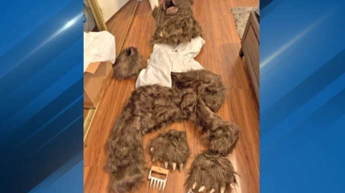 Ασφαλιστική απάτη με… στολή αρκούδας (video)