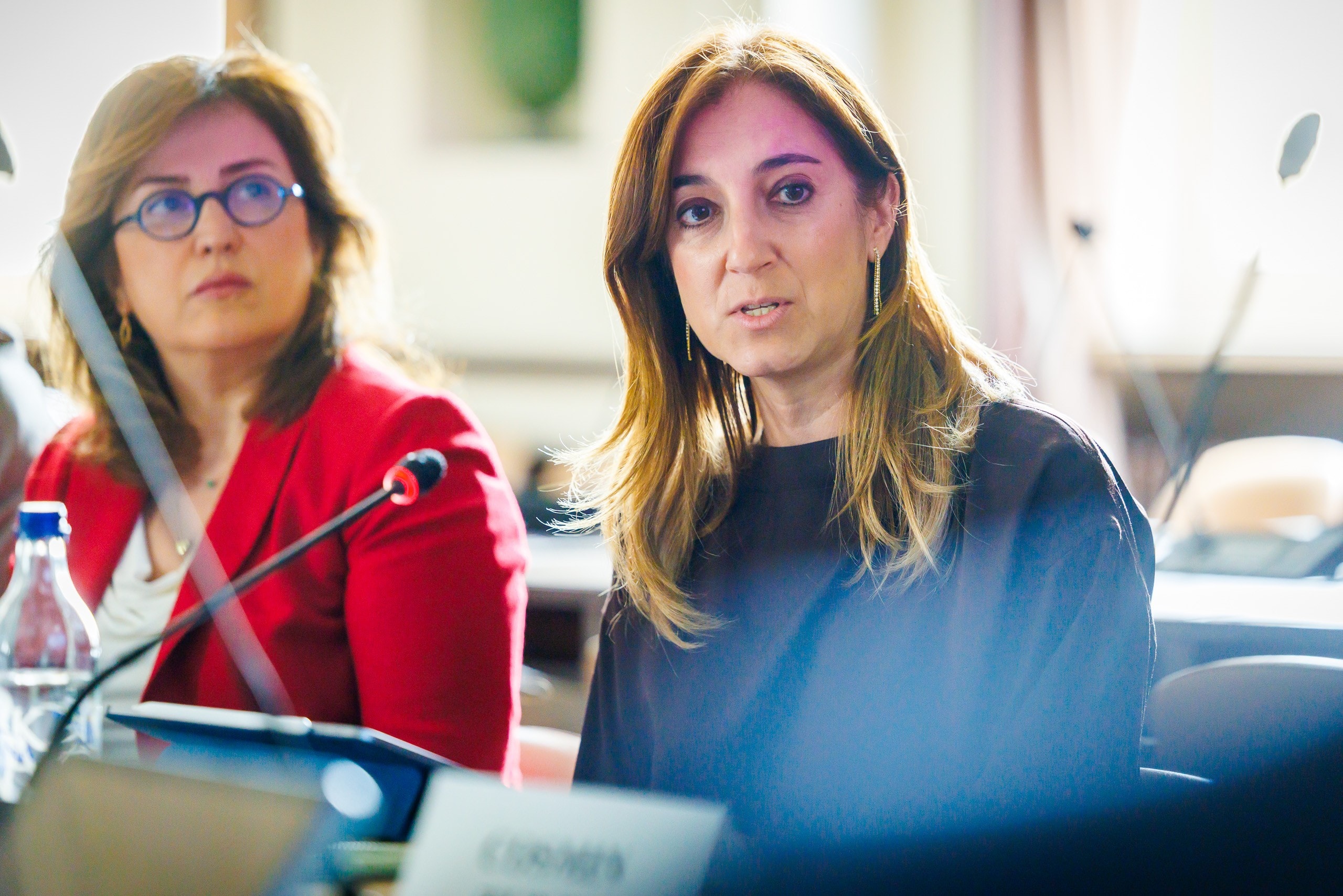 Η Ε. Παπασπυροπούλου – ΕΑΕΕ  στο forum του UNECE για τις φυσικές καταστροφές