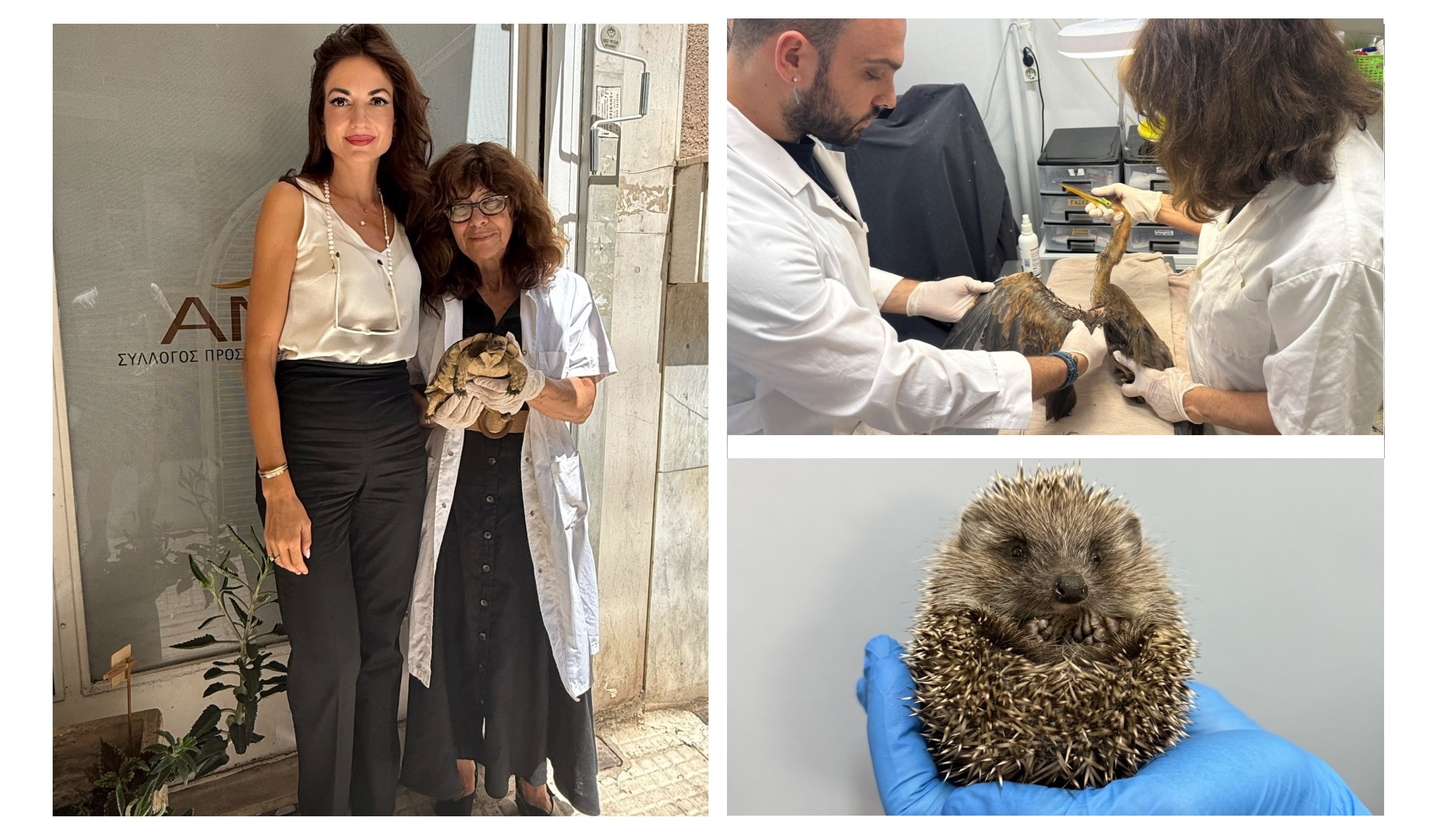 O Όμιλος Σαρακάκη σταθερός υποστηρικτής του  έργου της ΑΝΙΜΑ