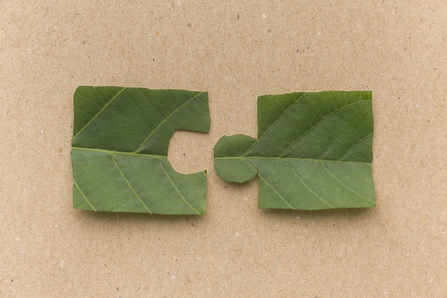 Μιλώντας τη γλώσσα του ESG